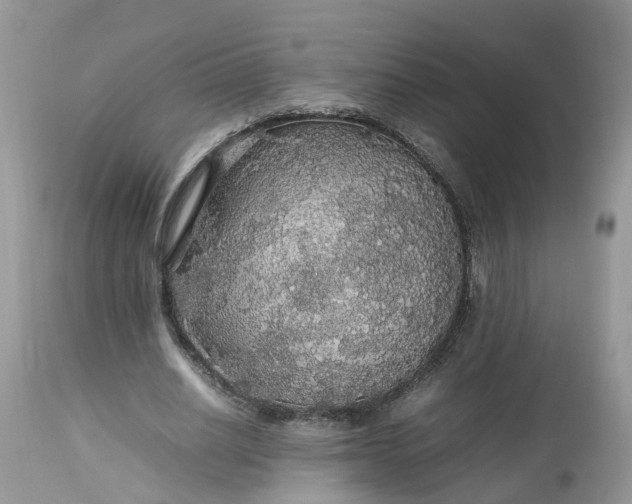 X0000113070630200909110941