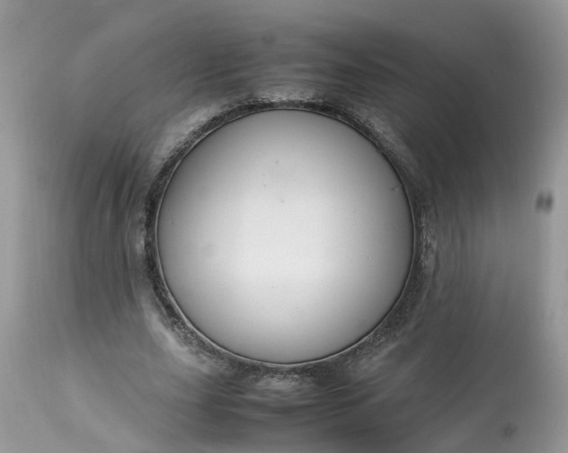 X0000113070631200909110941