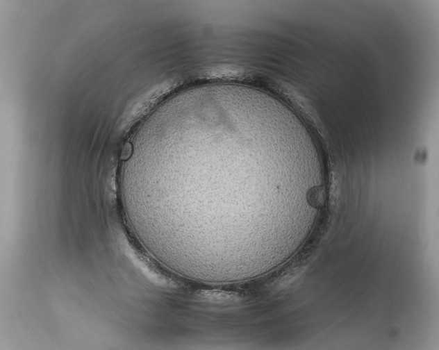 X0000113070633200909110941