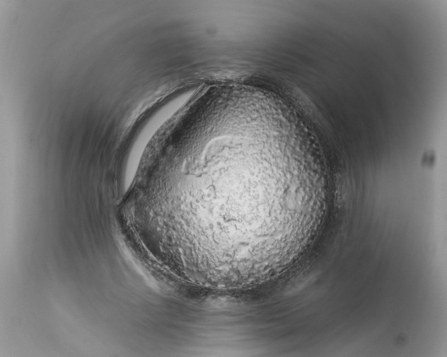 X0000113070634200909110941