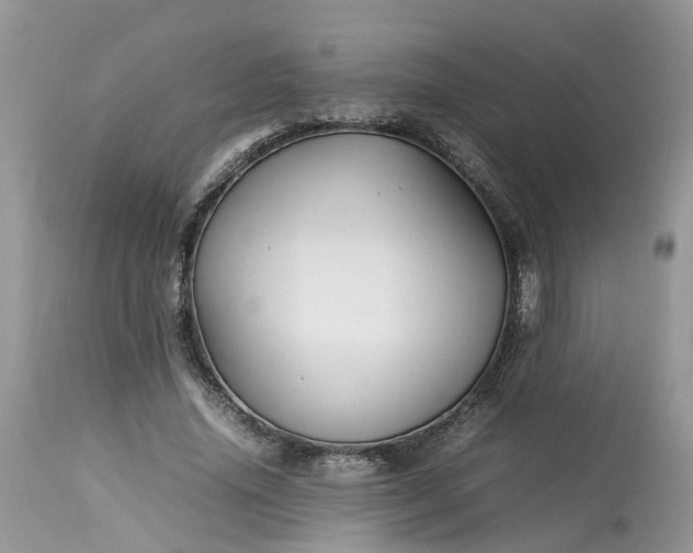 X0000113070636200909110941