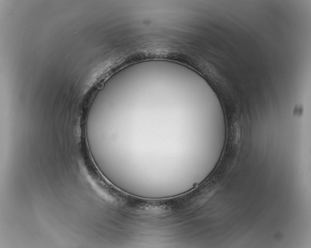 X0000113070638200909110941