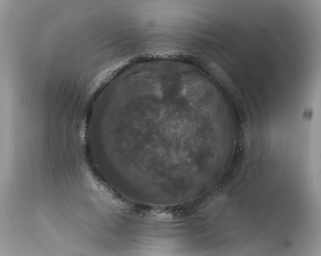 X0000113070640200909110941