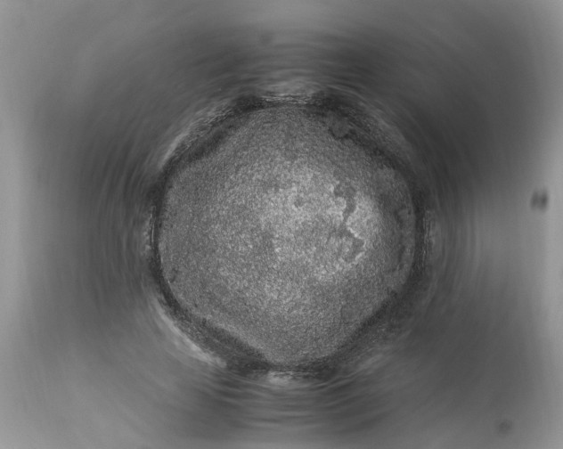 X0000113070641200909110941