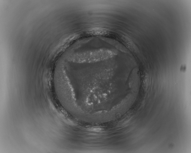 X0000113070643200909110941