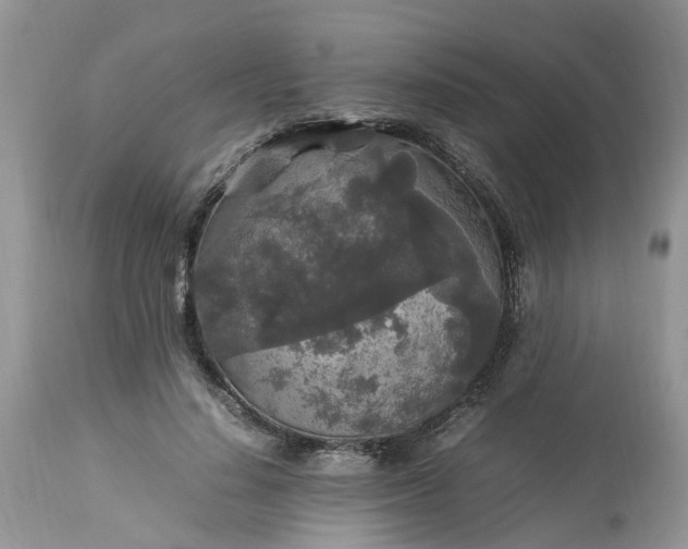 X0000113070644200909110941