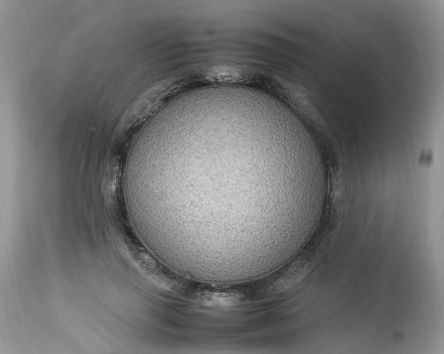 X0000113070645200909110941