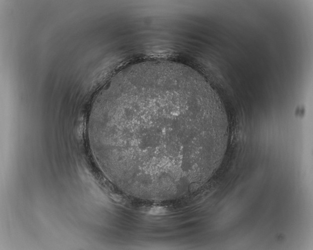 X0000113070647200909110941