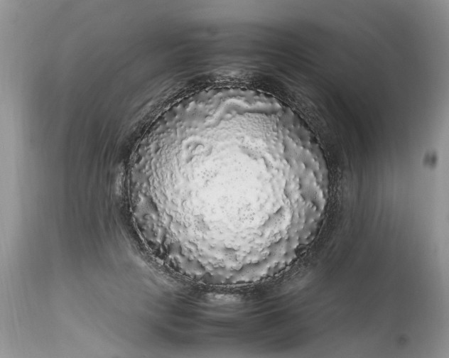 X0000113070649200909110941