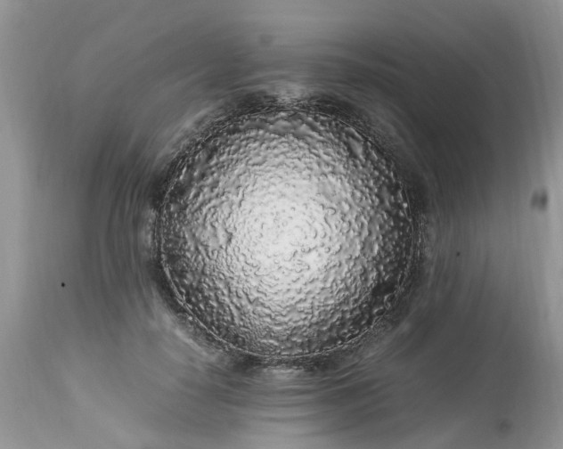 X0000113070650200909110941