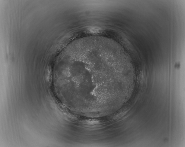 X0000113070651200909110941