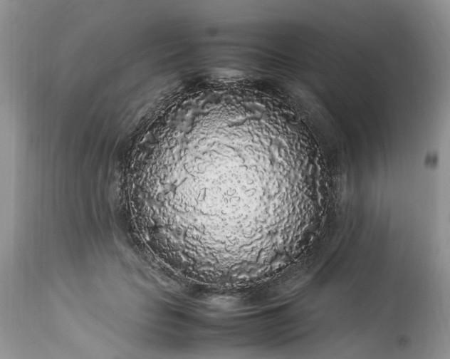 X0000113070653200909110941