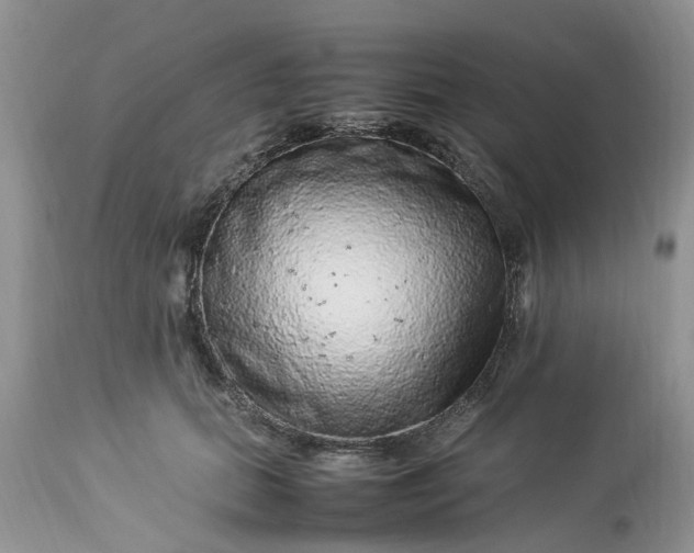 X0000113070655200909110941