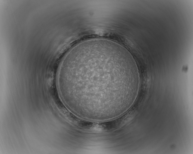 X0000113070656200909110941