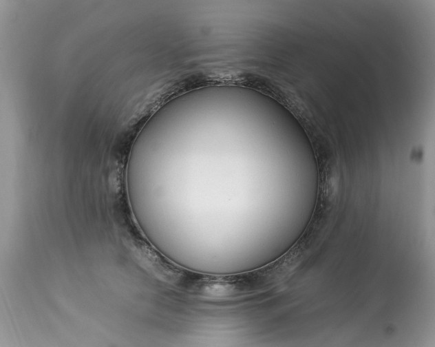 X0000113070658200909110941