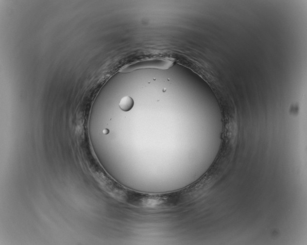 X0000113070662200909110941