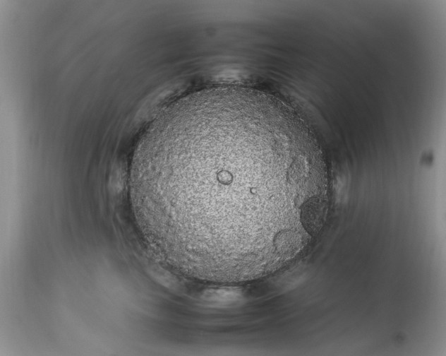 X0000113070665200909110941