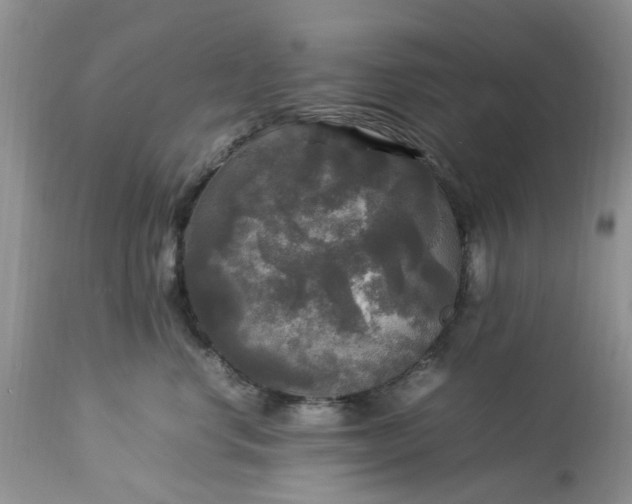 X0000113070668200909110941