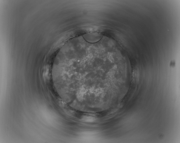 X0000113070671200909110941