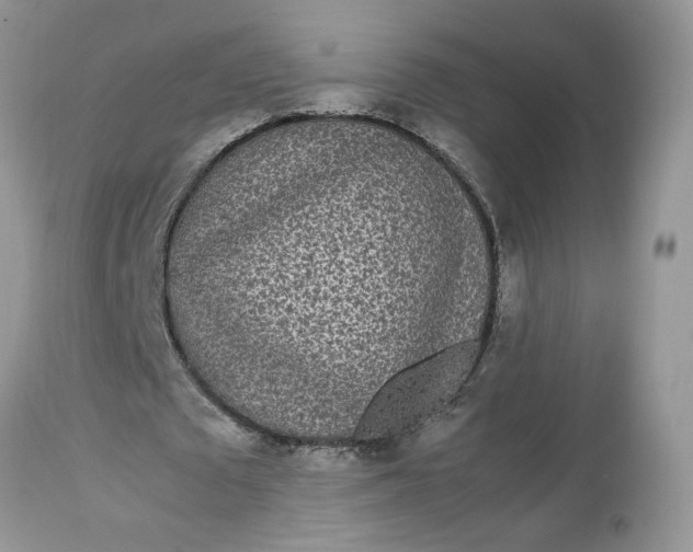 X0000113070673200909110941