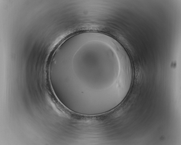 X0000113070674200909110941