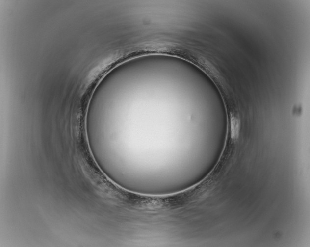 X0000113070675200909110941