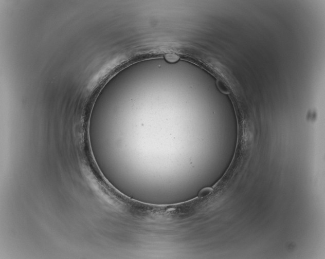 X0000113070677200909110941