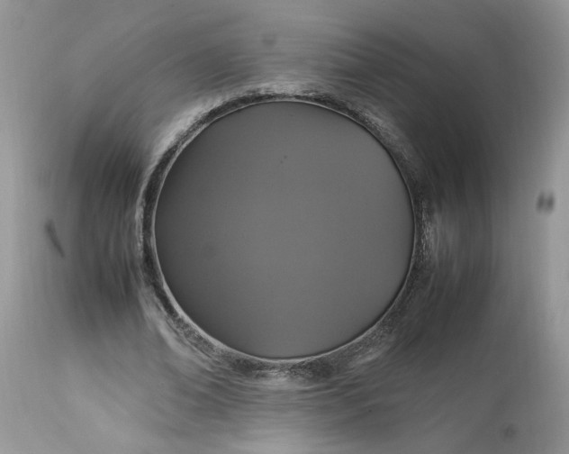 X0000113070678200909110941