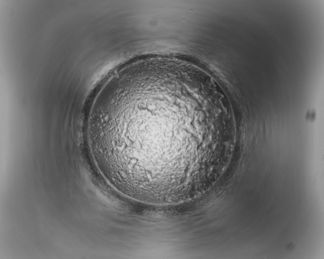 X0000113070679200909110941