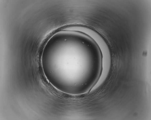 X0000113070680200909110941