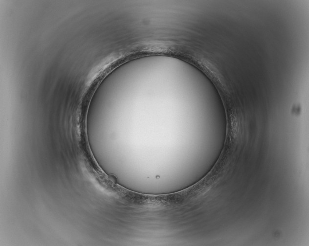 X0000113070682200909110941