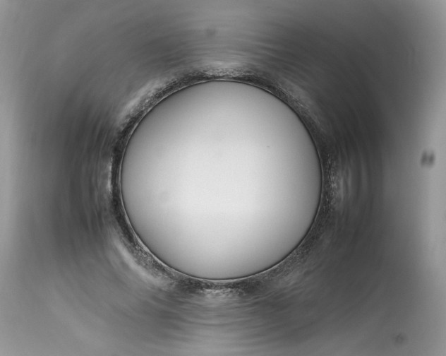 X0000113070686200909110941