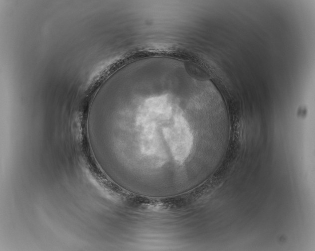 X0000113070688200909110941