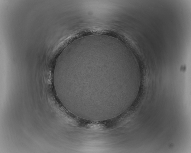 X0000113070689200909110941