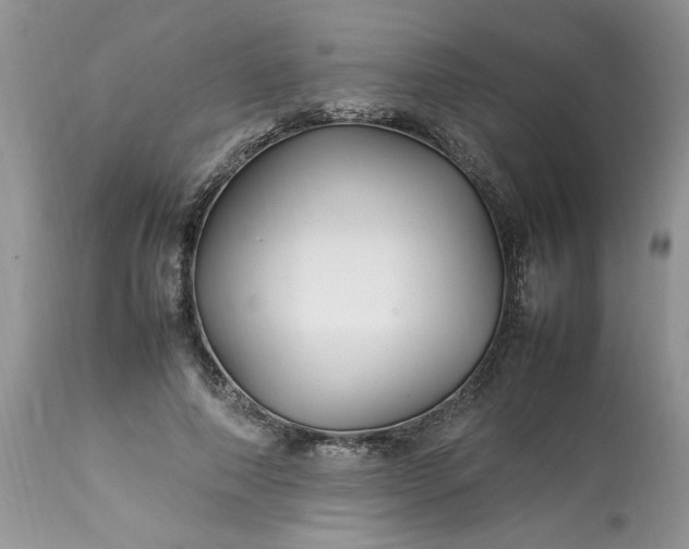 X0000113070690200909110941