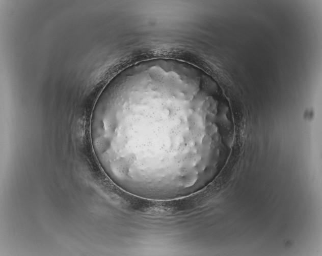 X0000113070691200909110941