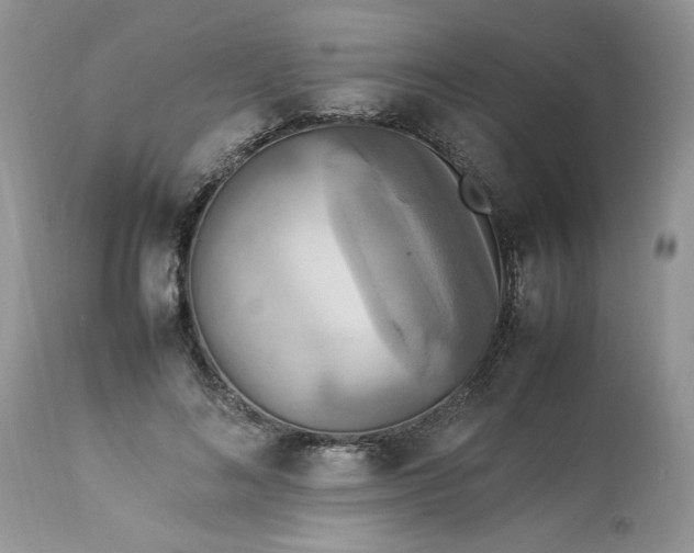 X0000113070692200909110941