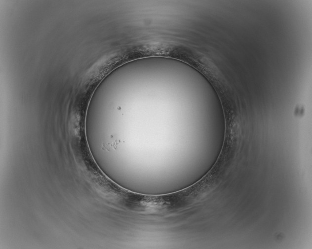 X0000113070693200909110940