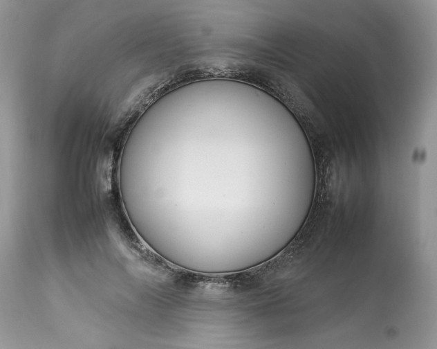 X0000113070694200909110940