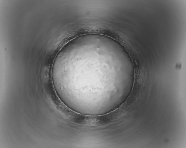 X0000113070695200909110940