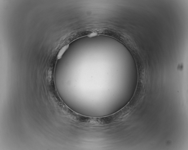 X0000113070697200909110940