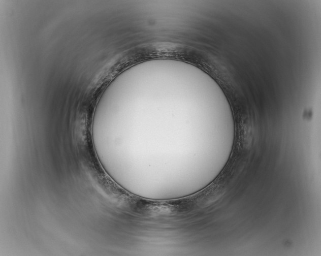 X0000113070698200909110940