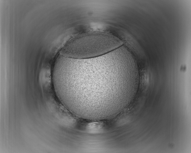 X0000113070700200909110940