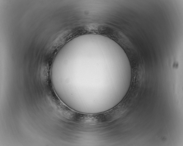 X0000113070702200909110940