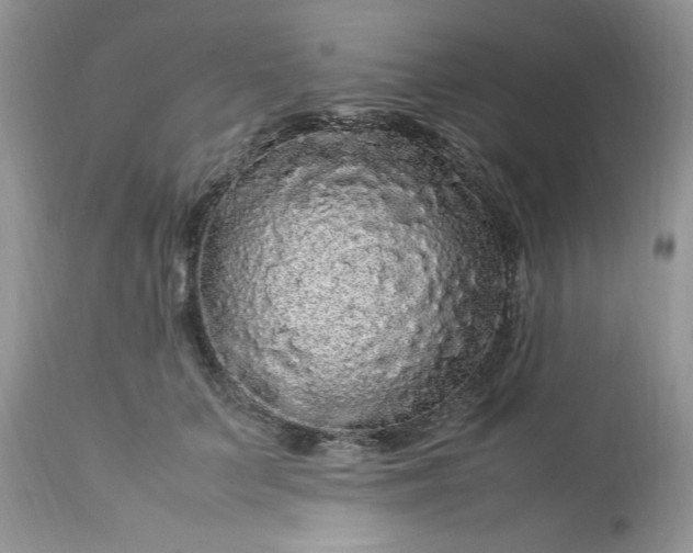 X0000113070703200909110940