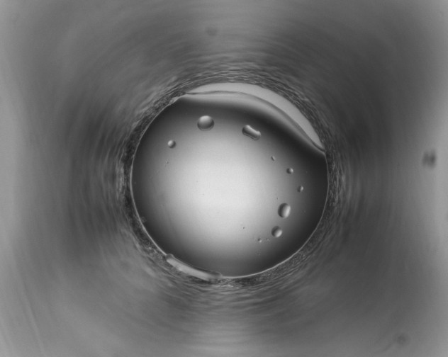 X0000113070704200909110940