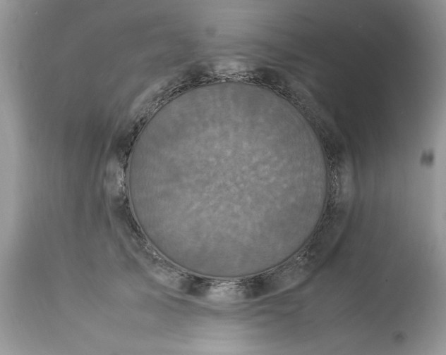 X0000113070705200909110940