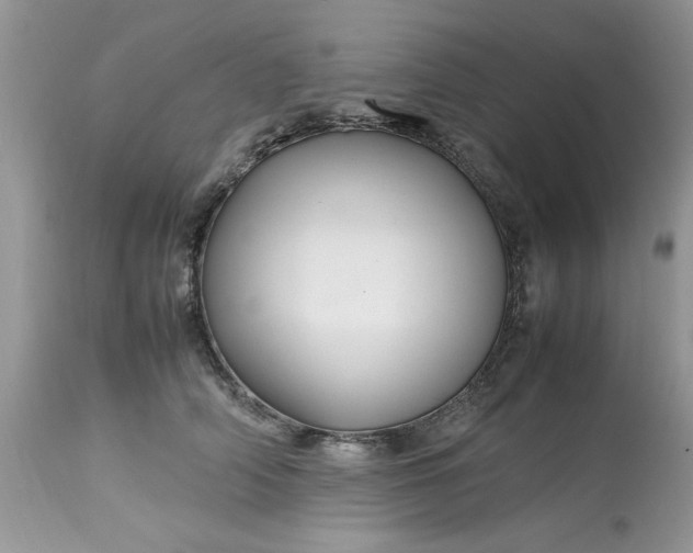 X0000113070706200909110940