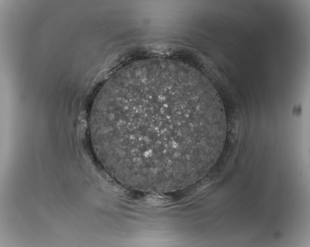 X0000113070707200909110940