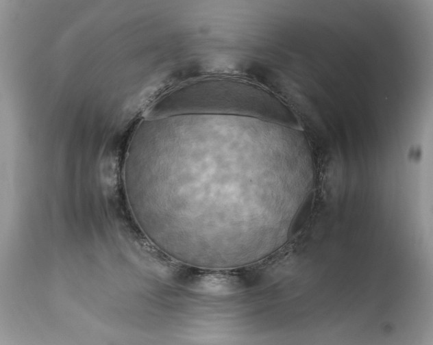 X0000113070708200909110940